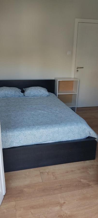 Guesthouse Porto Serpa Pinto Eksteriør billede